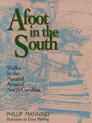 cover image of Afoot in the South